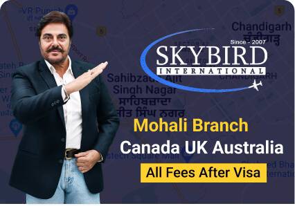 mohali branch - Skybird International