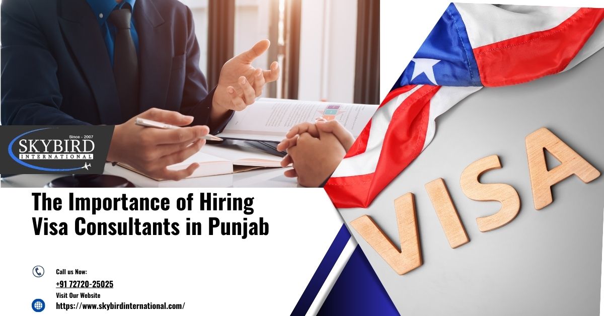 The Importance of Hiring Visa Consultants in Punjab