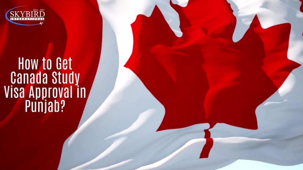 Canada flag background with text: How to Get Canada Study Visa Approval in Punjab - Skybird International