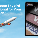 Airplane and visa images with the title 'Why Choose Skybird International for Your Visa Needs?