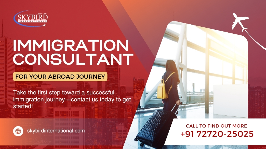 How to Choose the Best Immigration Consultant for Your Abroad Journey