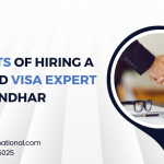 Benefits of Hiring a Trusted Visa Expert in Jalandhar